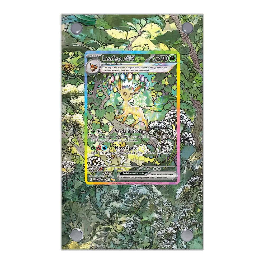 Affichage de cartes Pokemon PT - Display Case Acrylic avis et prix